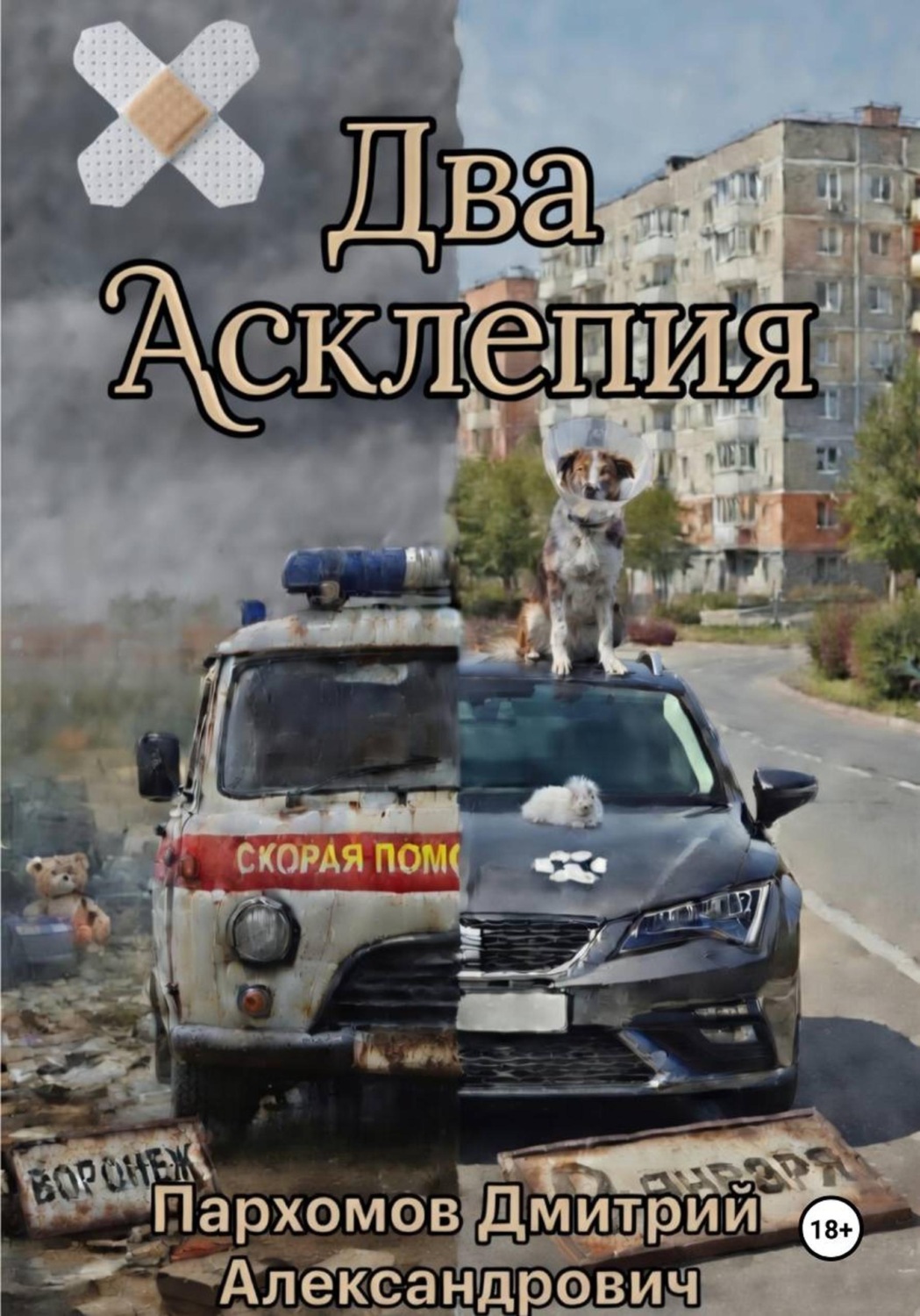 Обложка книги «Два Асклепия»