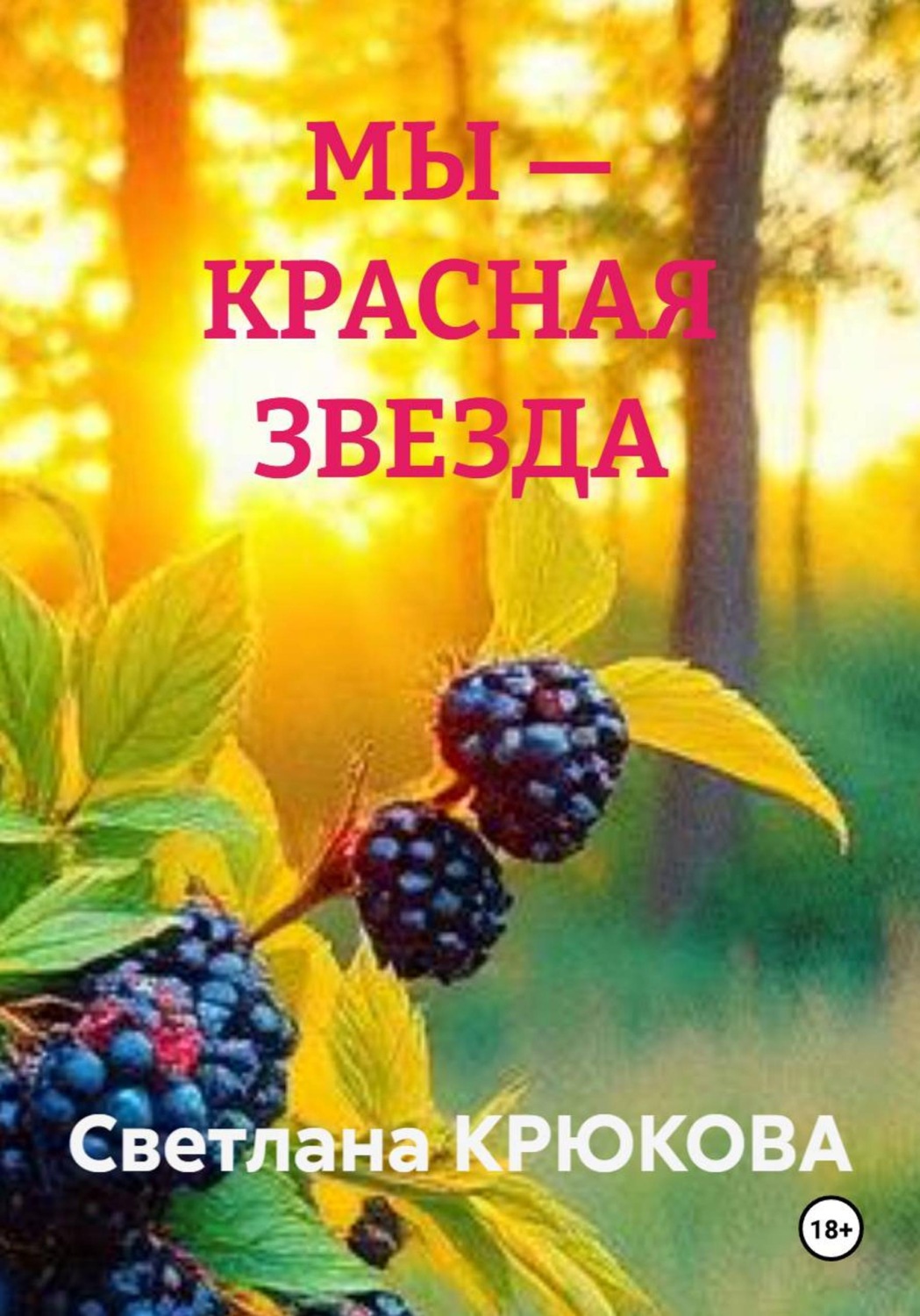 Обложка книги «МЫ — КРАСНАЯ ЗВЕЗДА»
