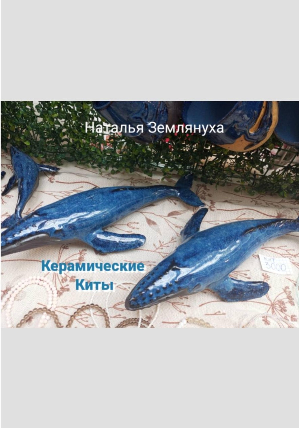 Обложка книги «Керамические Киты»