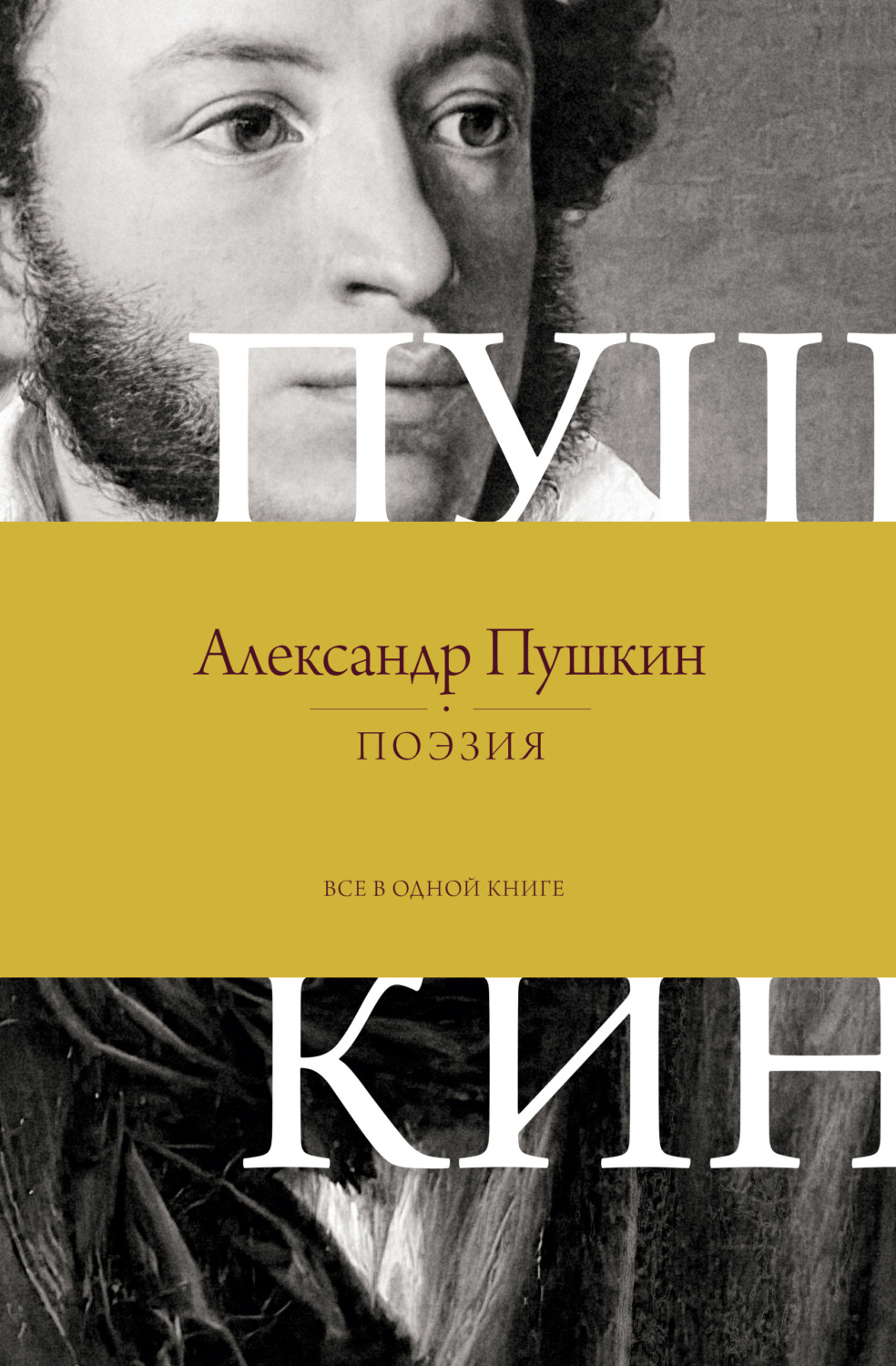 Обложка книги «Поэзия. Все в одной книге»