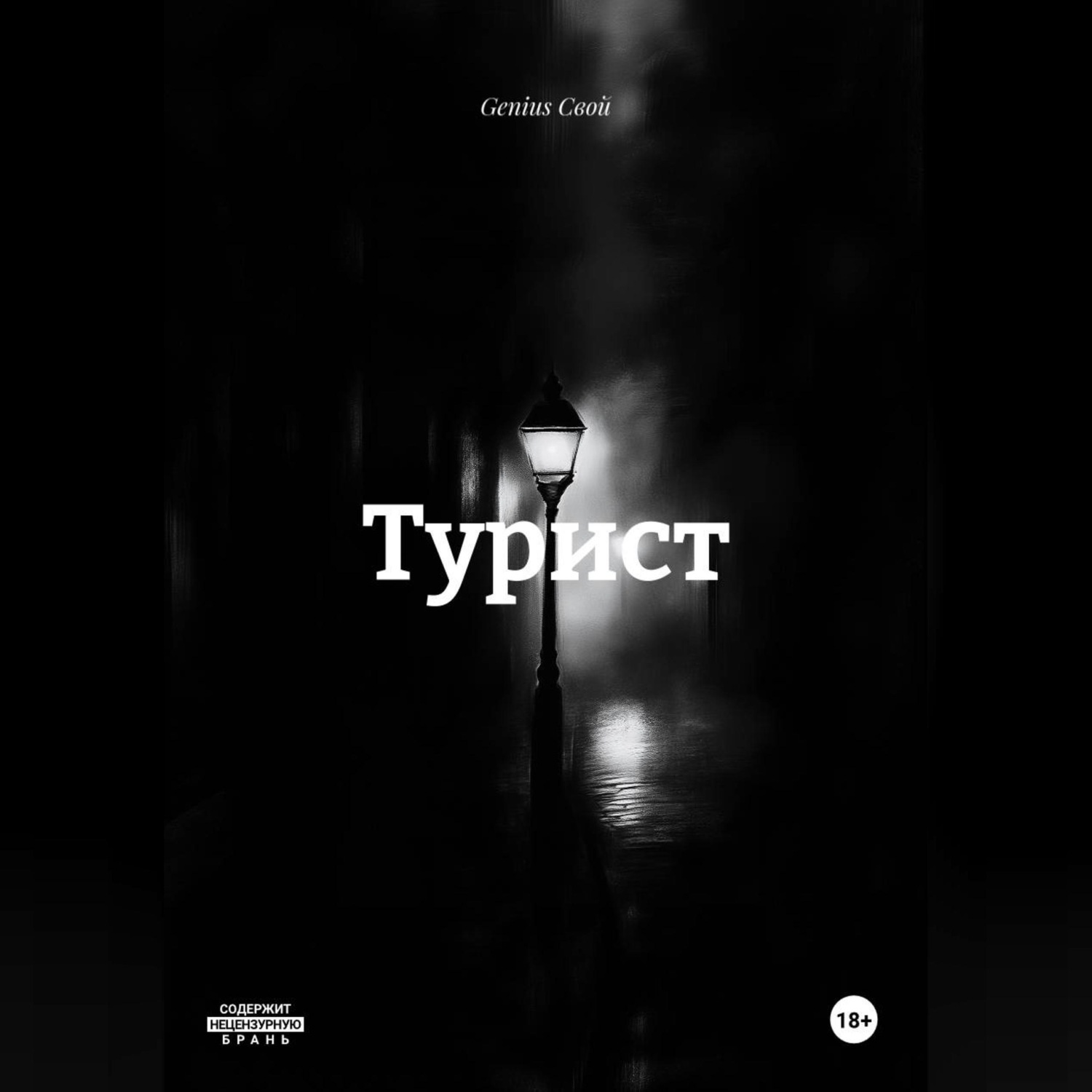 Обложка книги «Турист»
