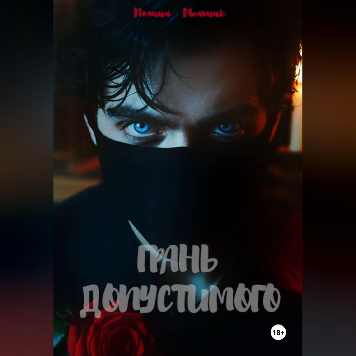 Обложка книги «Грань допустимого»