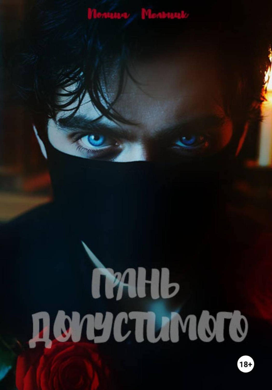 Обложка книги «Грань допустимого»