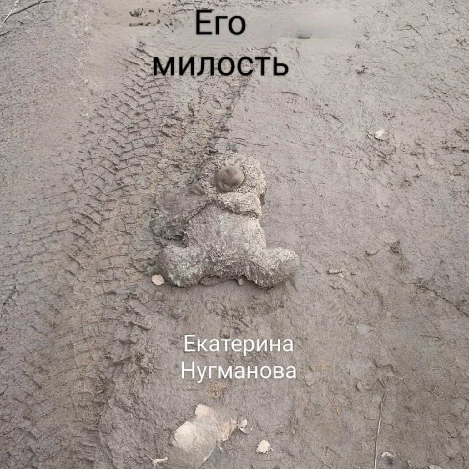 Обложка книги «Его милость»