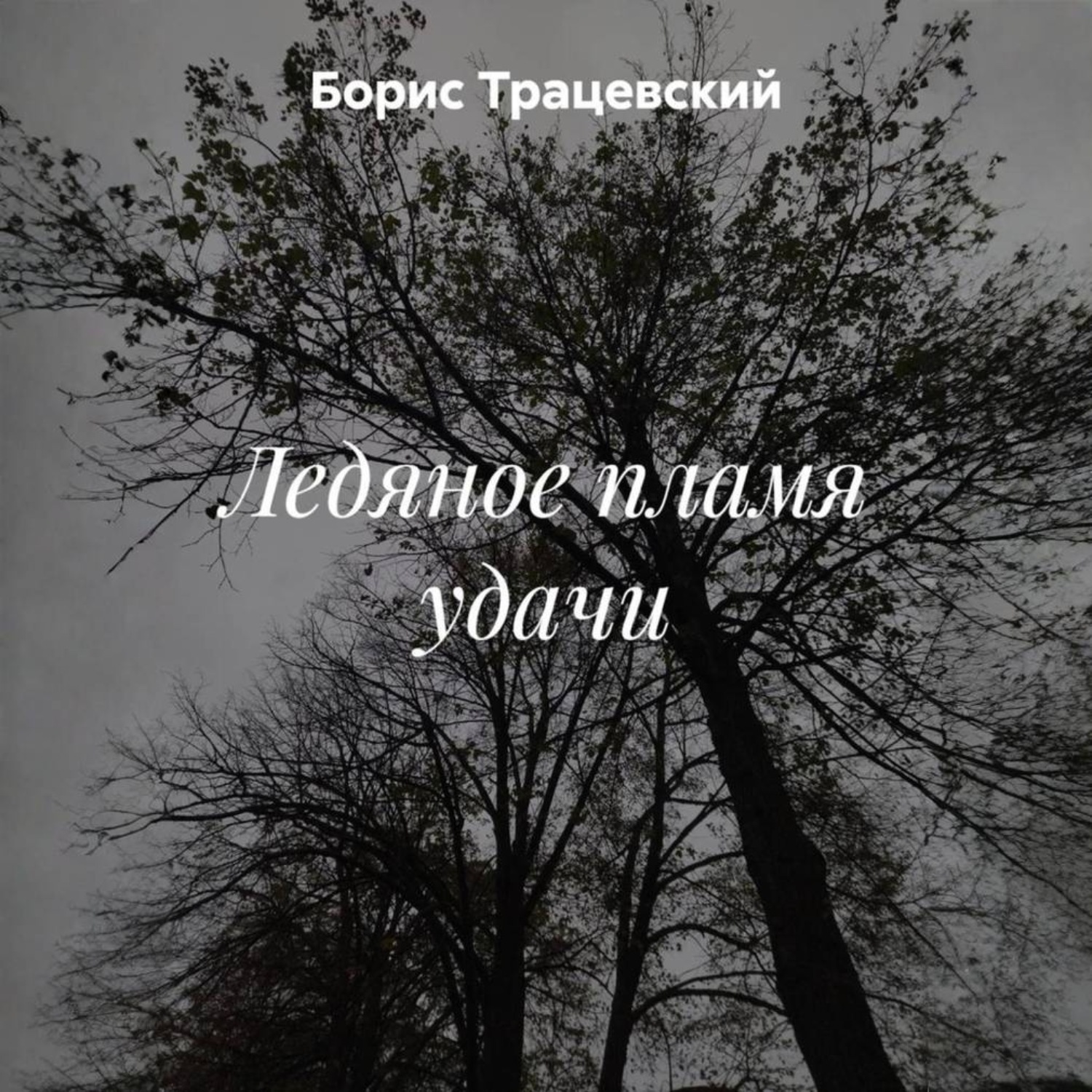 Обложка книги «Ледяное пламя удачи»