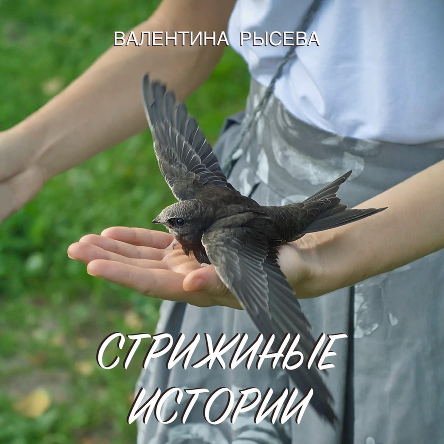 Обложка книги «Стрижиные истории»