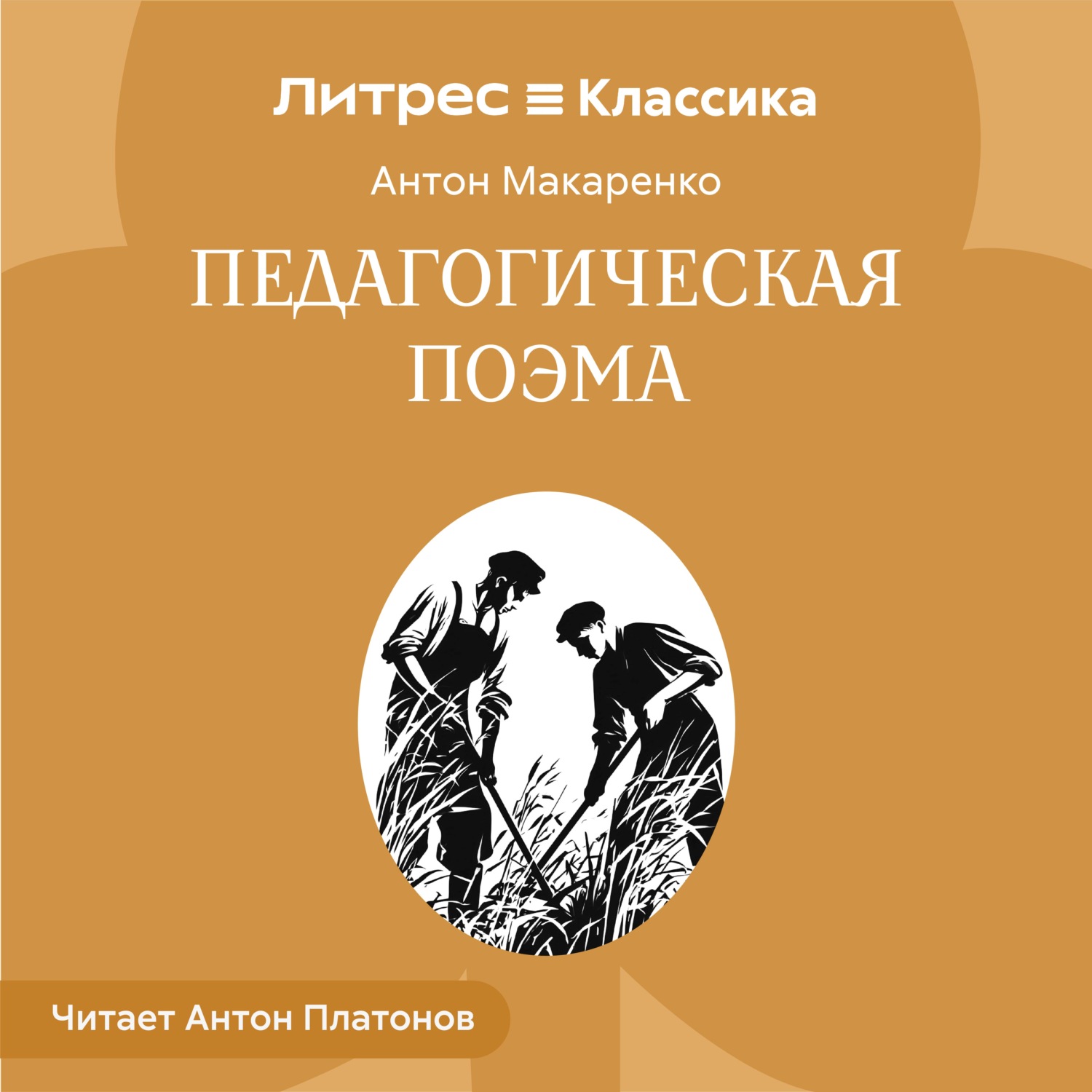 Обложка книги «Педагогическая поэма.»