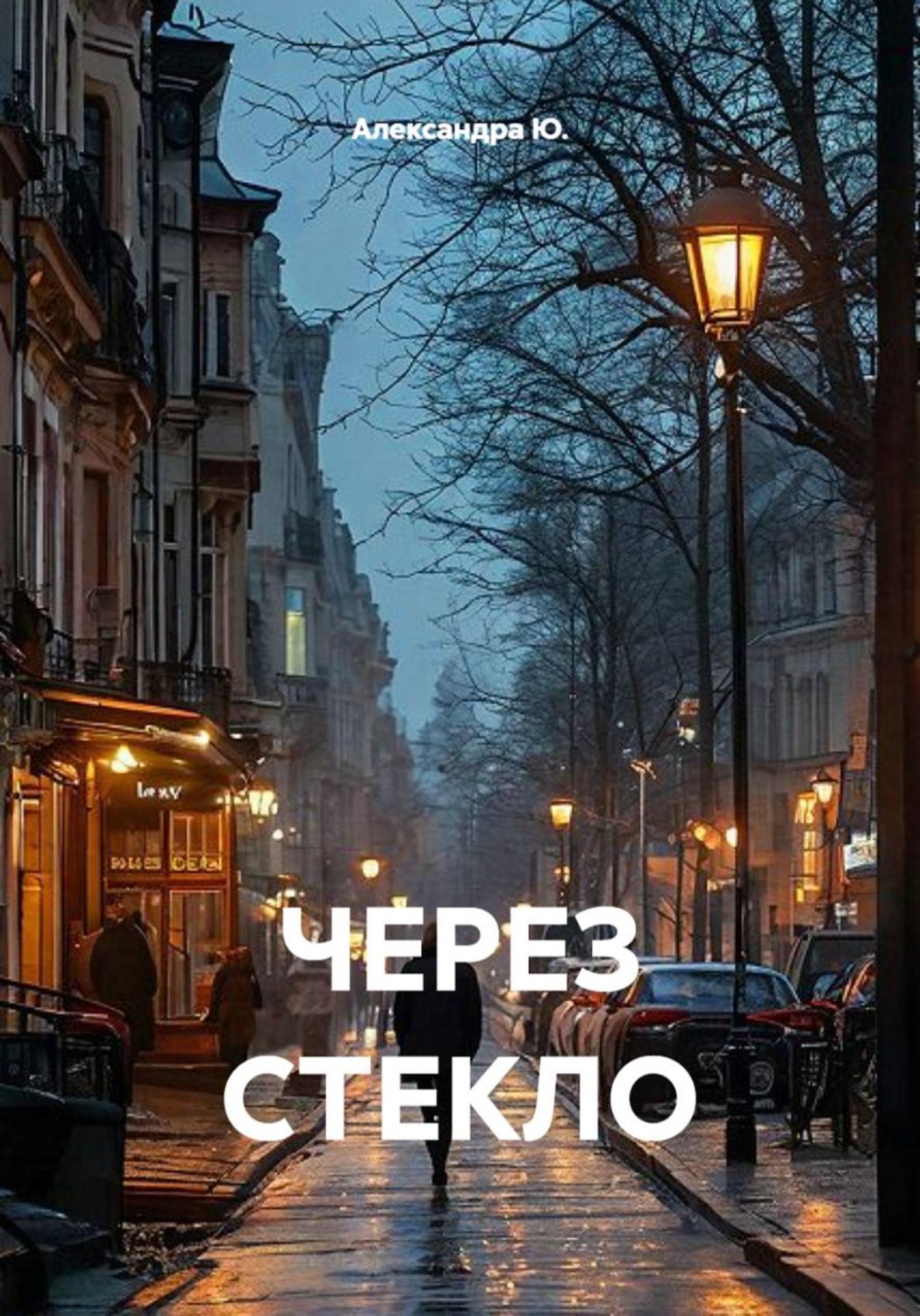Обложка книги «Через стекло»