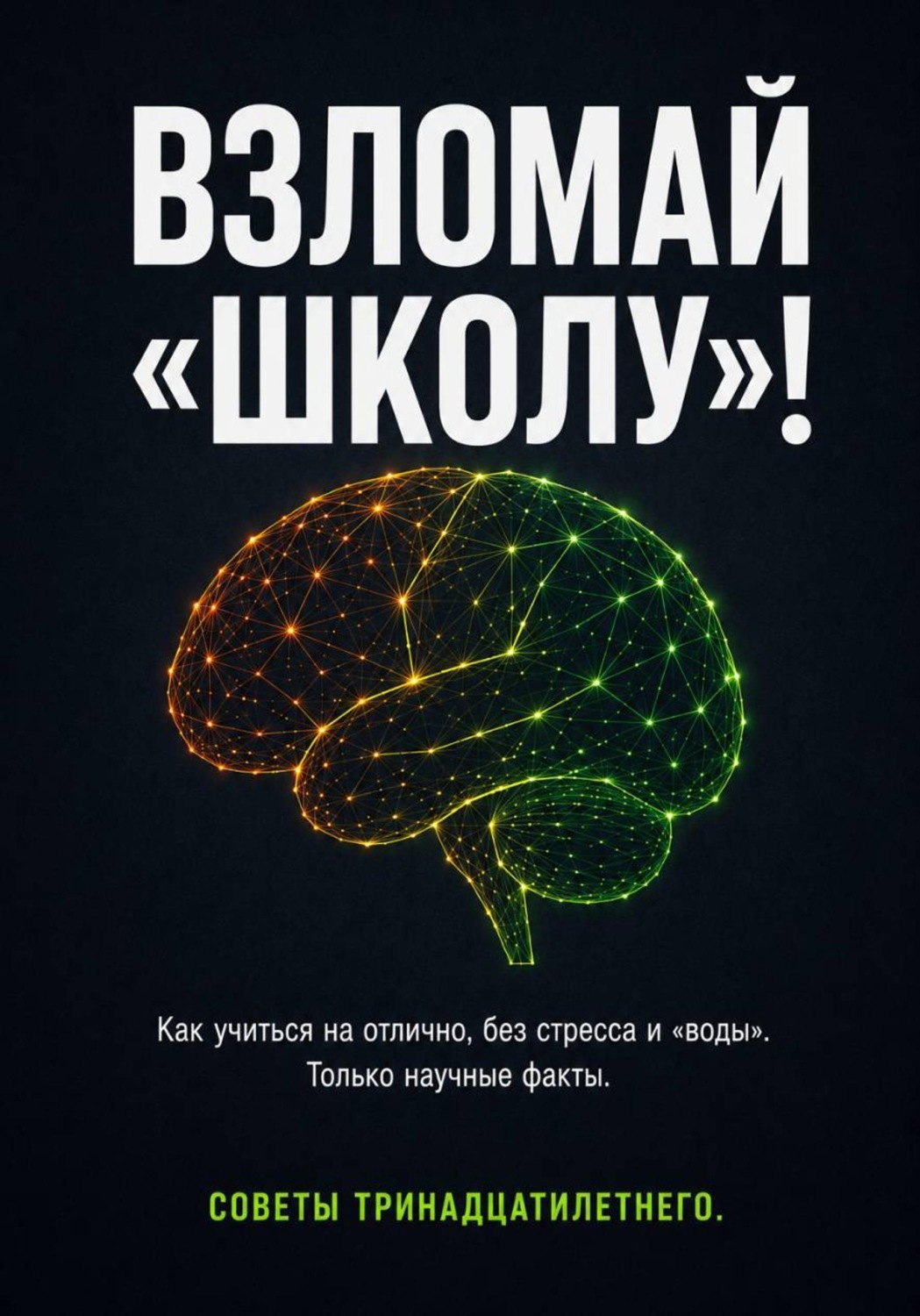 Обложка книги «ВЗЛОМ «ШКОЛЫ»! Как учиться на отлично без стресса и «воды». Только научные факты. Советы тринадцатилетнего»