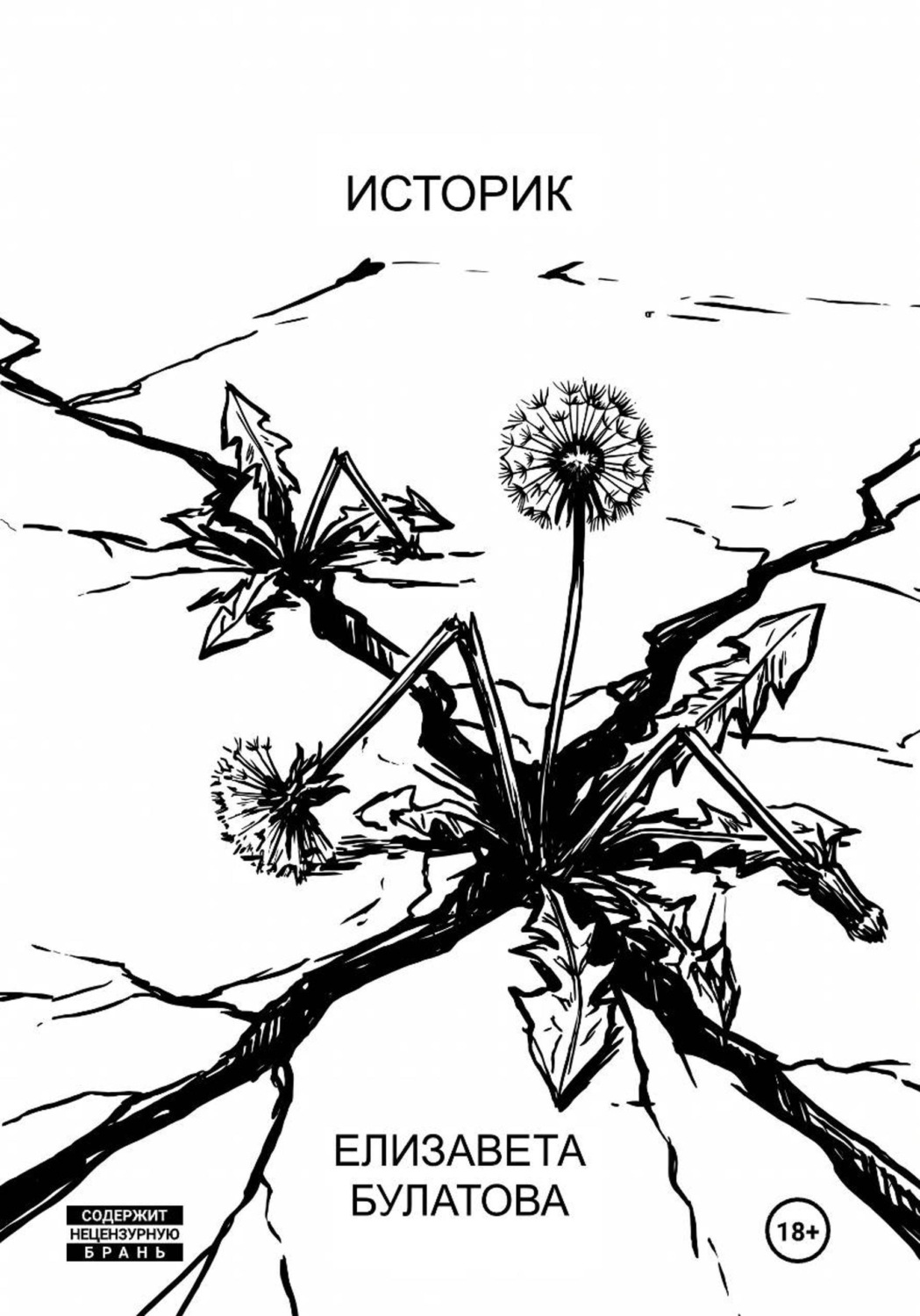 Обложка книги «Историк»