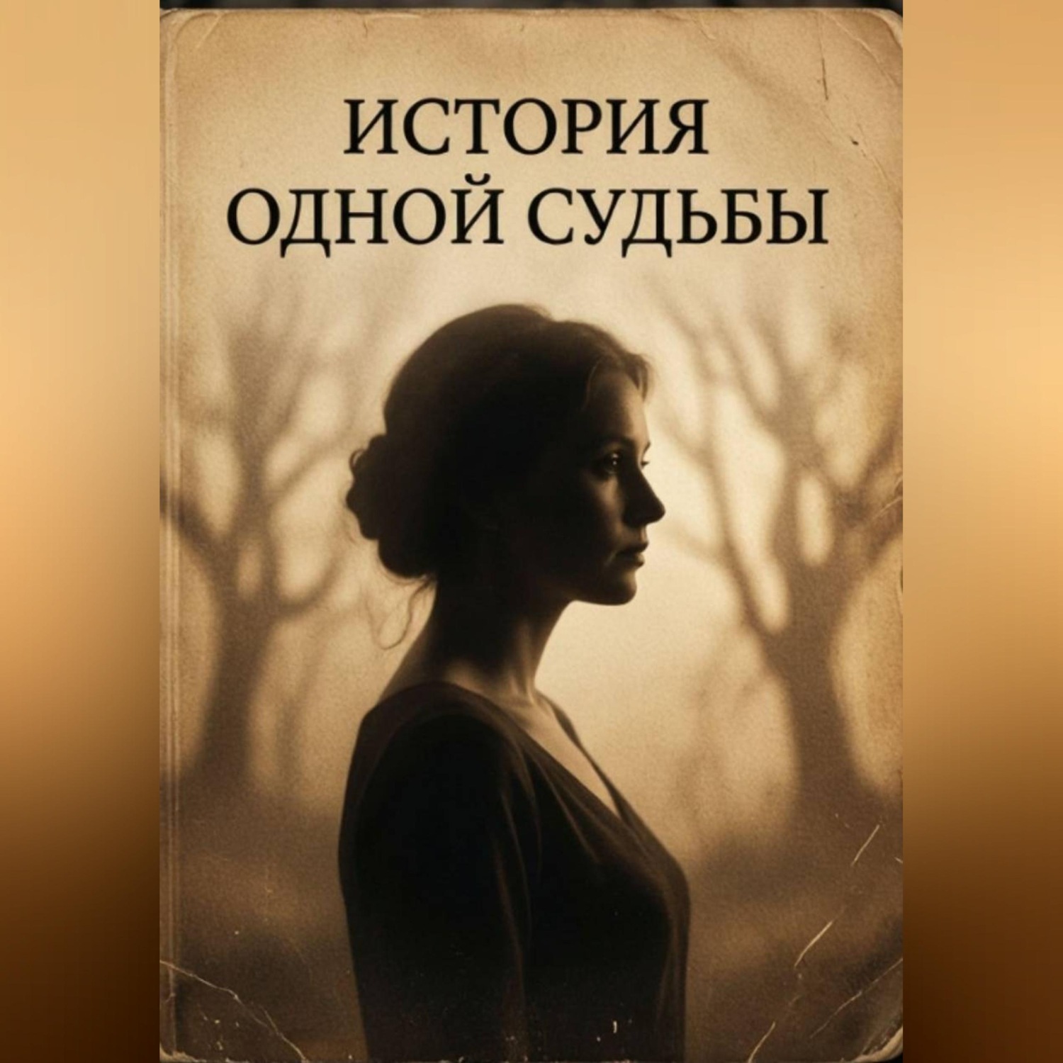 Обложка книги «История одной судьбы»