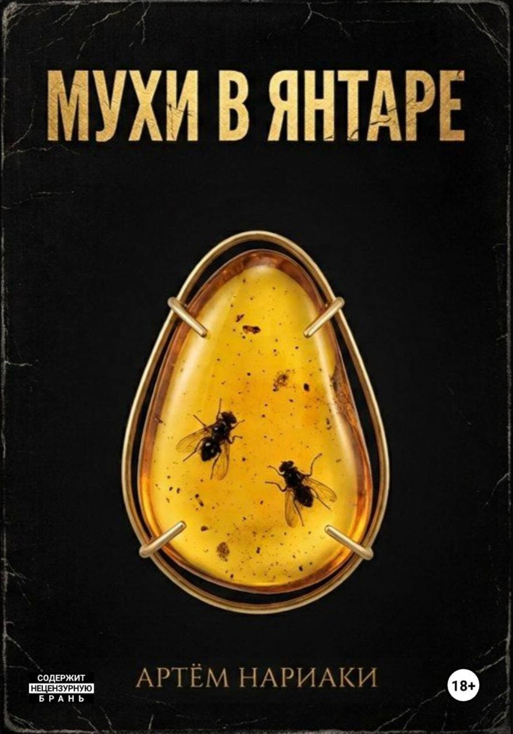 Обложка книги «Мухи в янтаре»