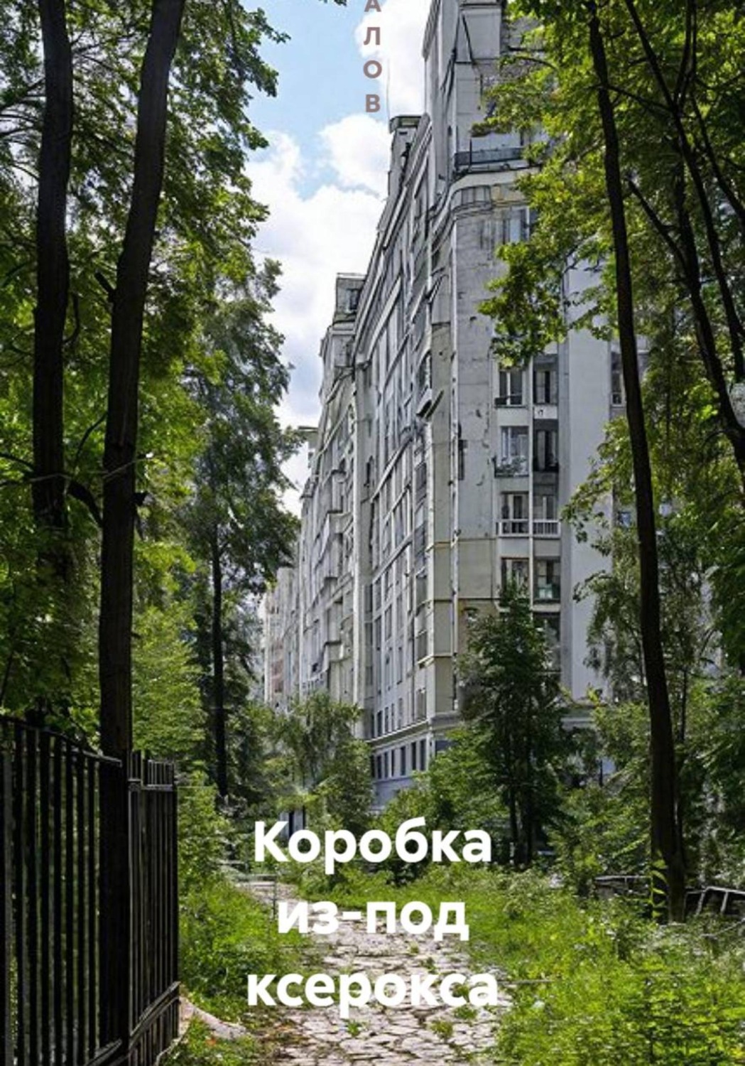 Обложка книги «Коробка из-под ксерокса»