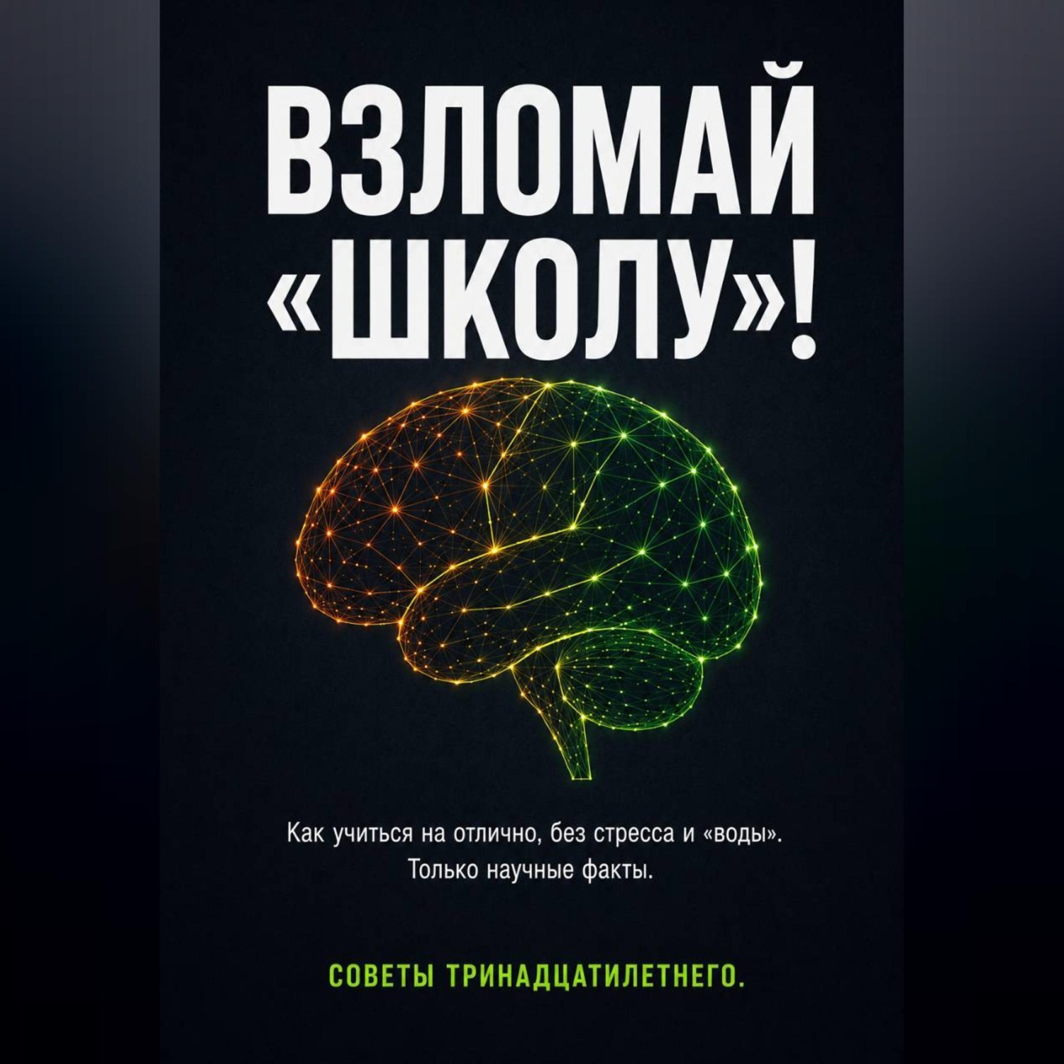 Обложка книги «ВЗЛОМАЙ «ШКОЛУ»! Как учиться на отлично, без стресса и «воды». Только научные факты. Советы тринадцатилетнего.»