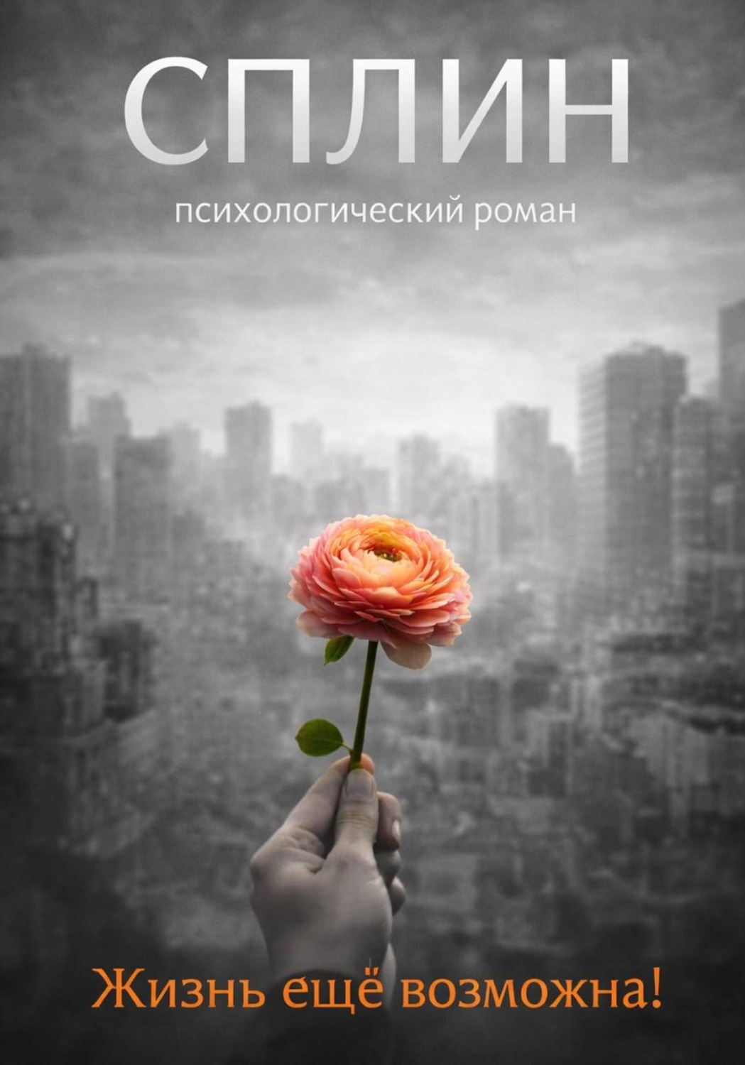 Обложка книги «Сплин»