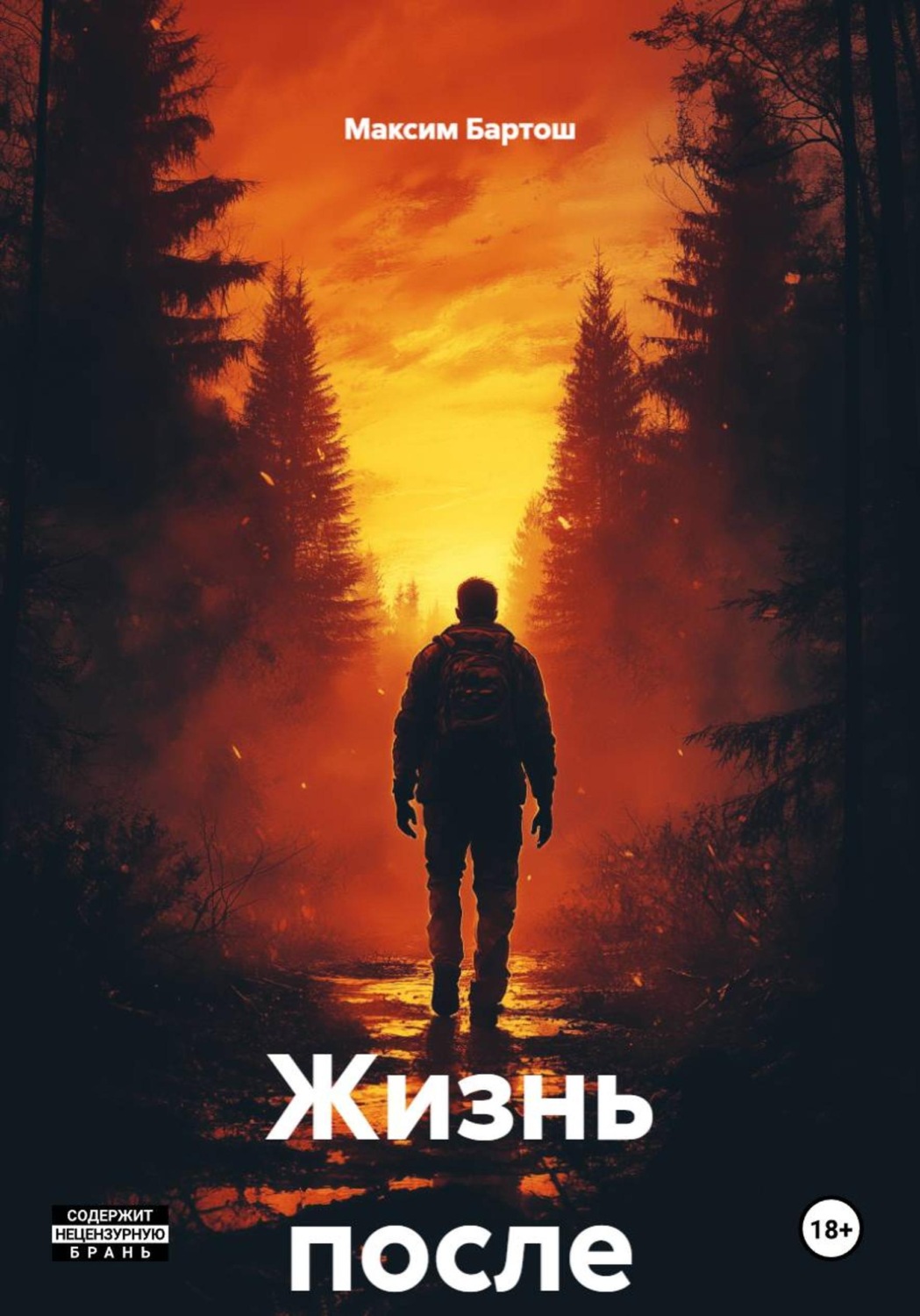 Обложка книги «Жизнь после»