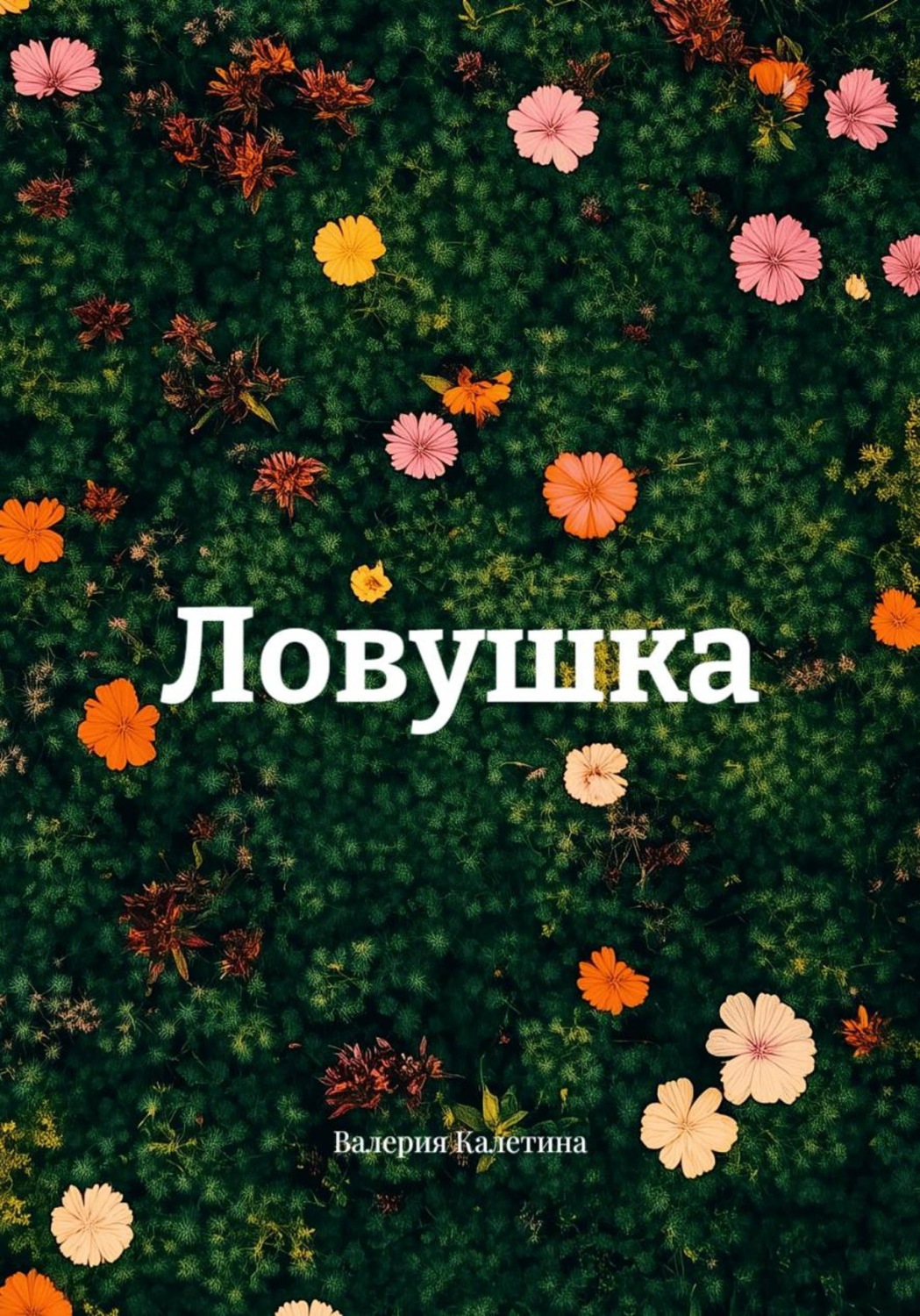 Обложка книги «Ловушка»