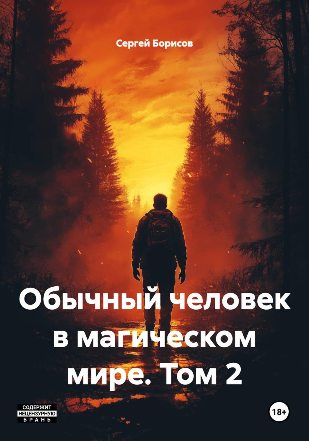 Обложка книги «Обычный человек в магическом мире. Том 2»