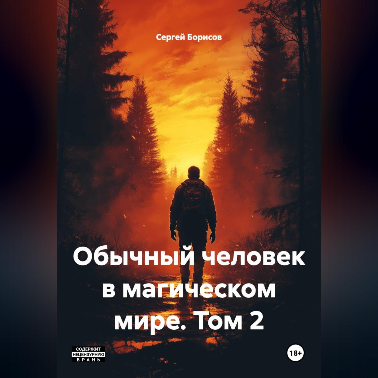 Обложка книги «Обычный человек в магическом мире, том 2»
