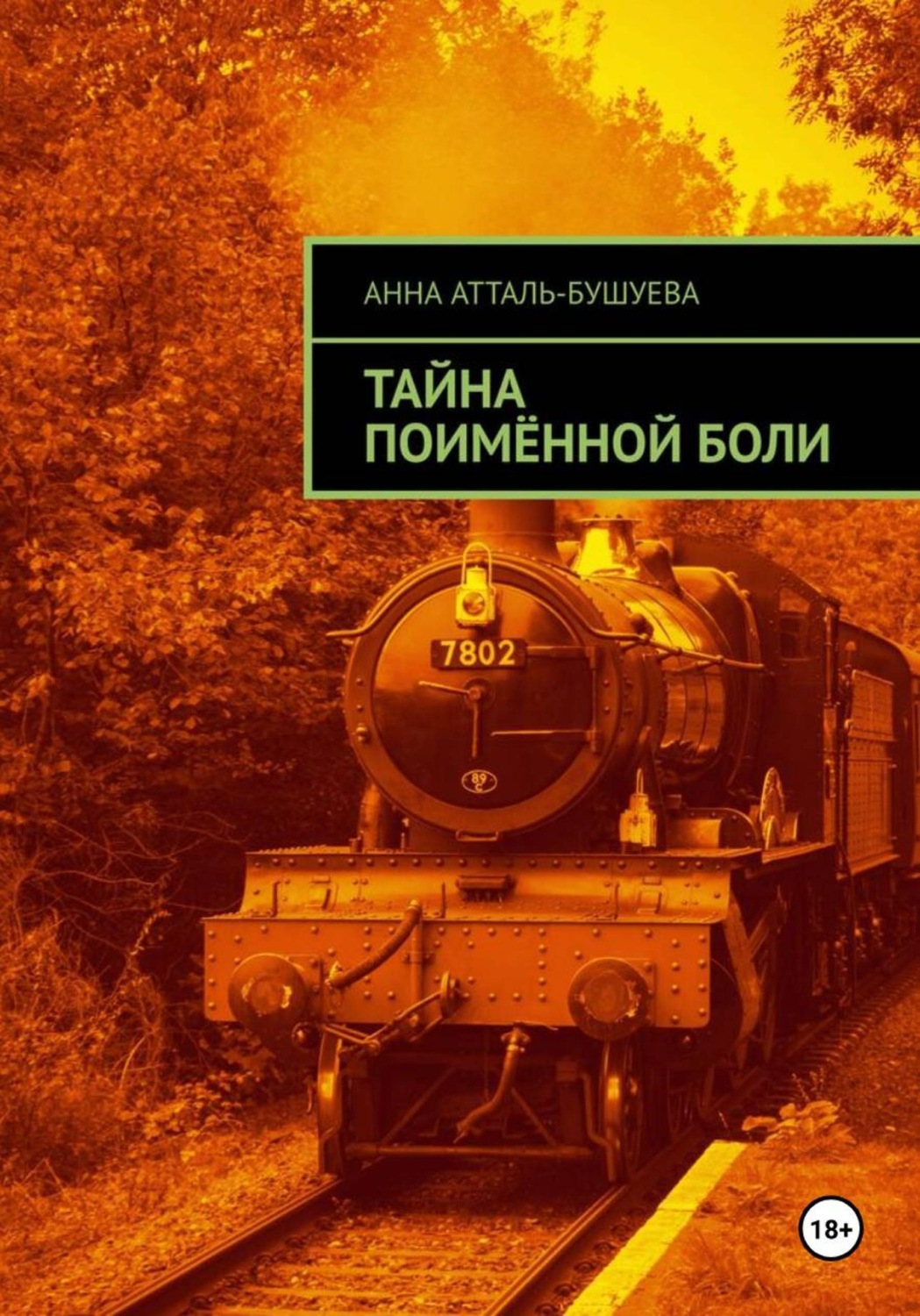 Обложка книги «Тайна поимённой боли»