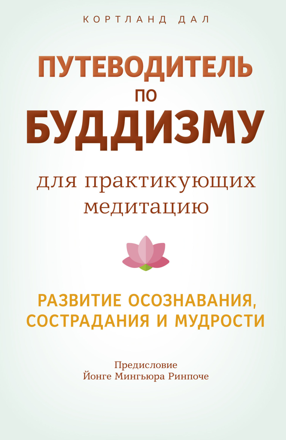 Обложка книги «Путеводитель по буддизму для практикующих медитацию. Развитие осознавания, сострадания и мудрости»