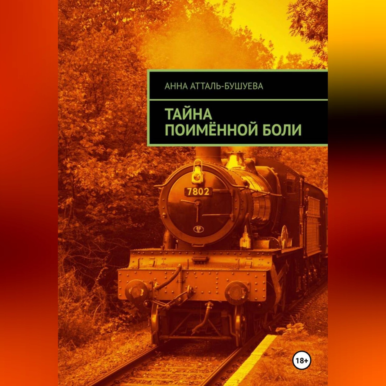 Обложка книги «Тайна поимённой боли»