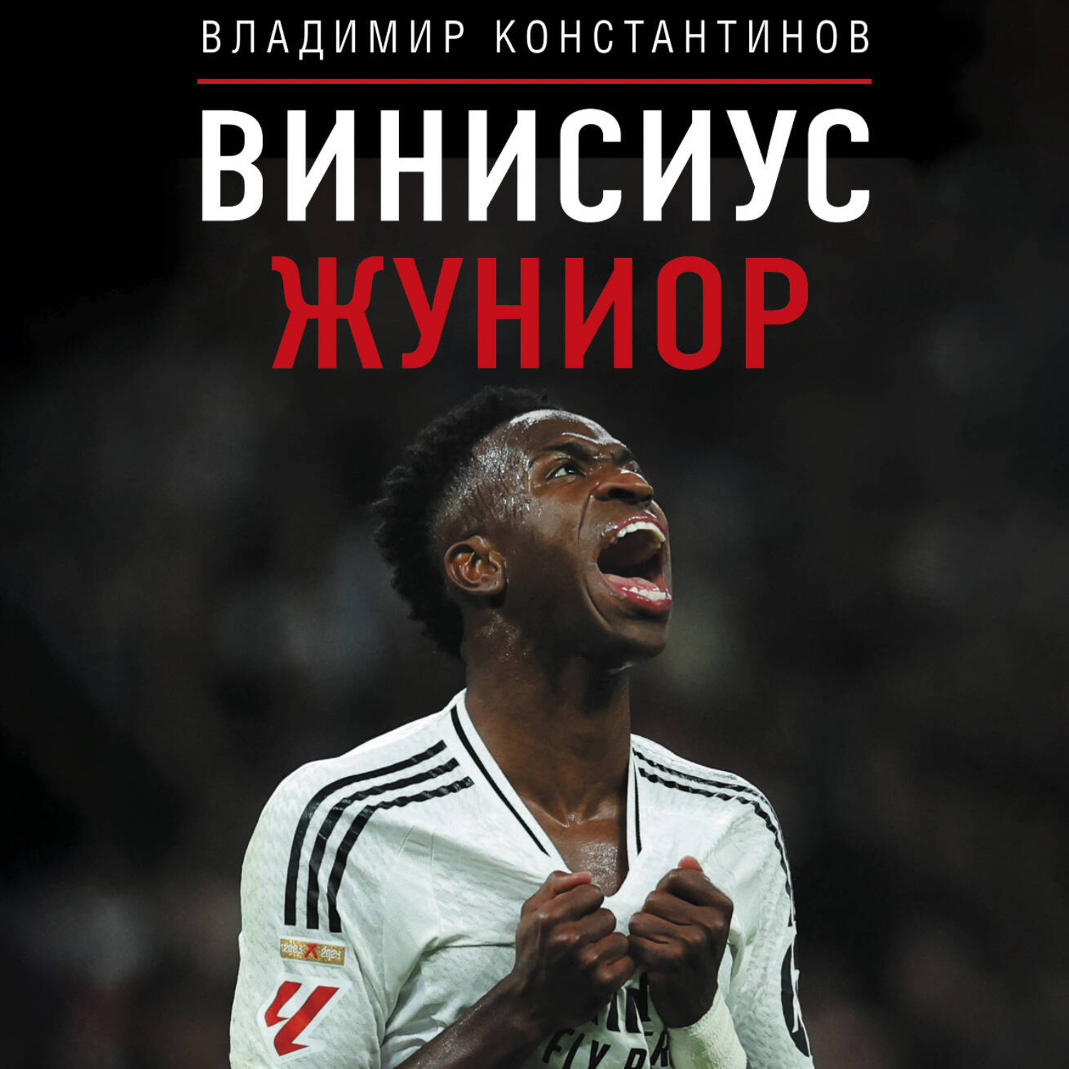 Обложка книги «Винисиус Жуниор»