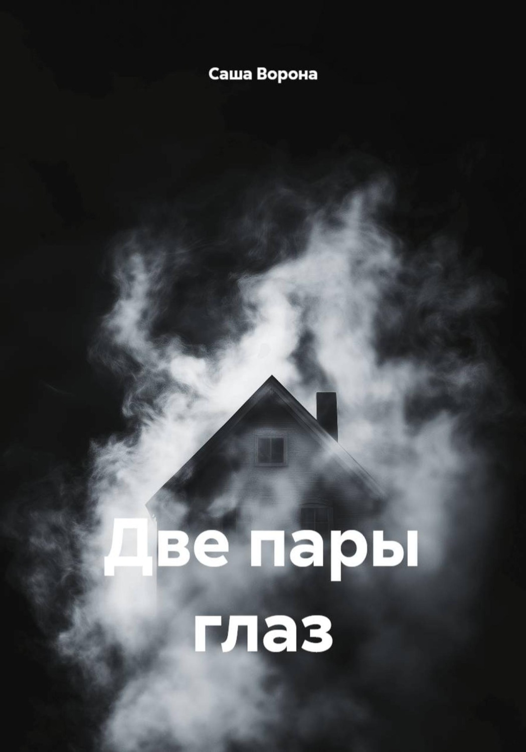 Обложка книги «Две пары глаз»