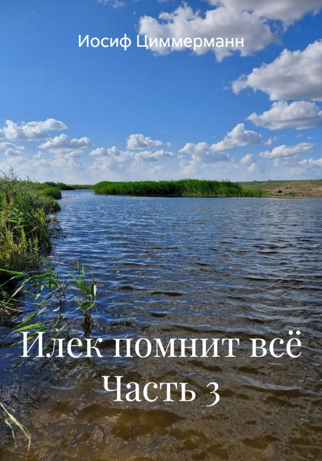 Обложка книги «Илек помнит всё Часть 3»