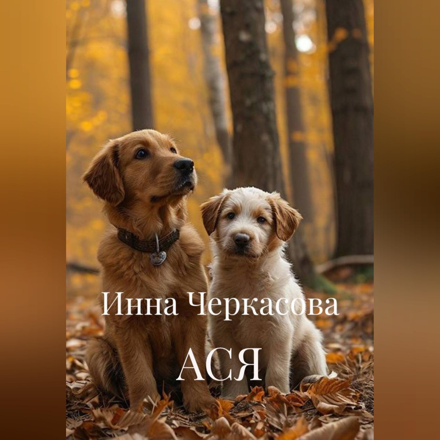 Обложка книги «АСЯ»