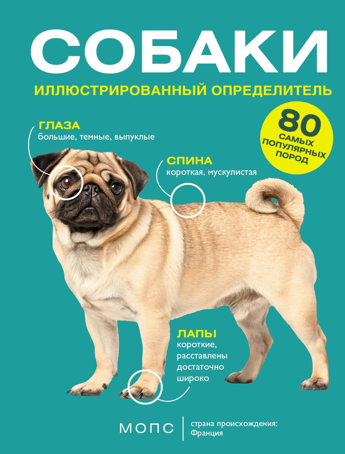 Обложка книги «Собаки. 80 самых популярных пород. Иллюстрированный определитель»