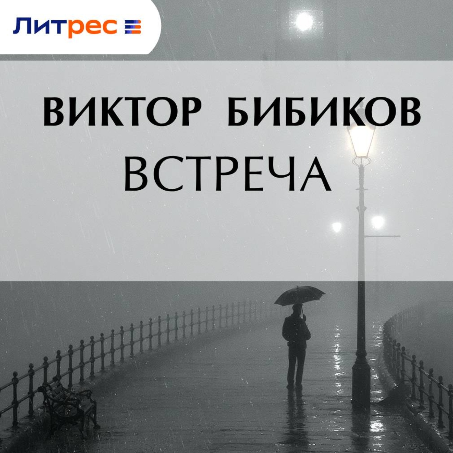 Обложка книги «Встреча»