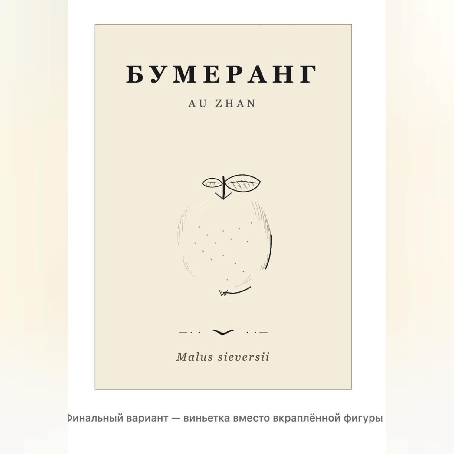 Обложка книги «Бумеранг»