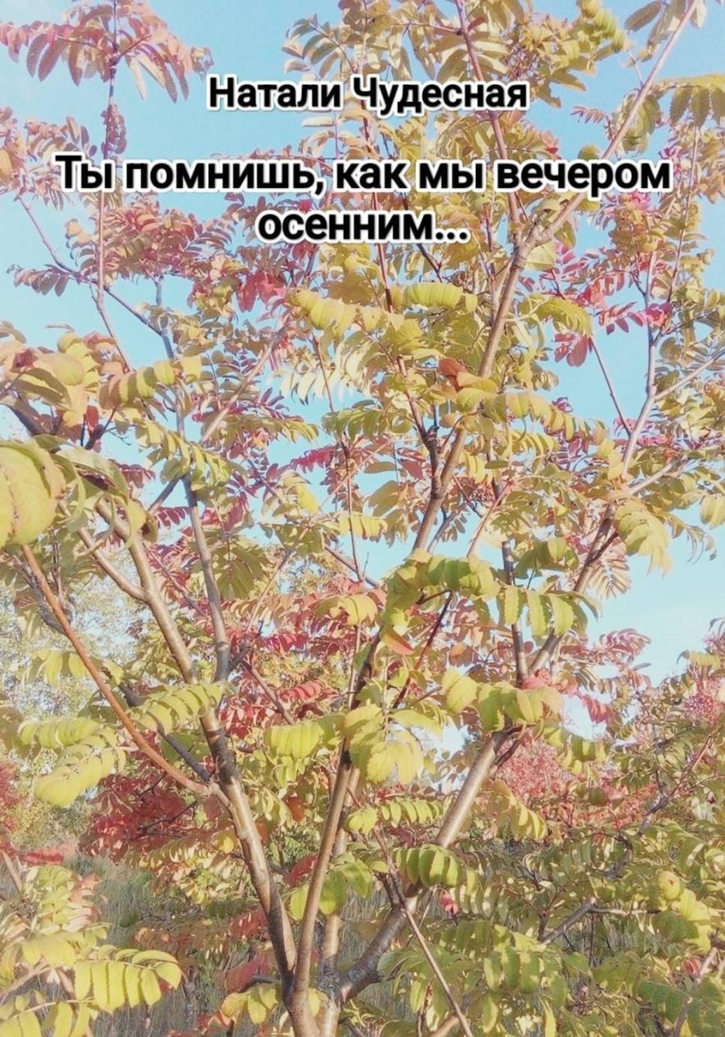 Обложка книги «Ты помнишь, как мы вечером осенним...»