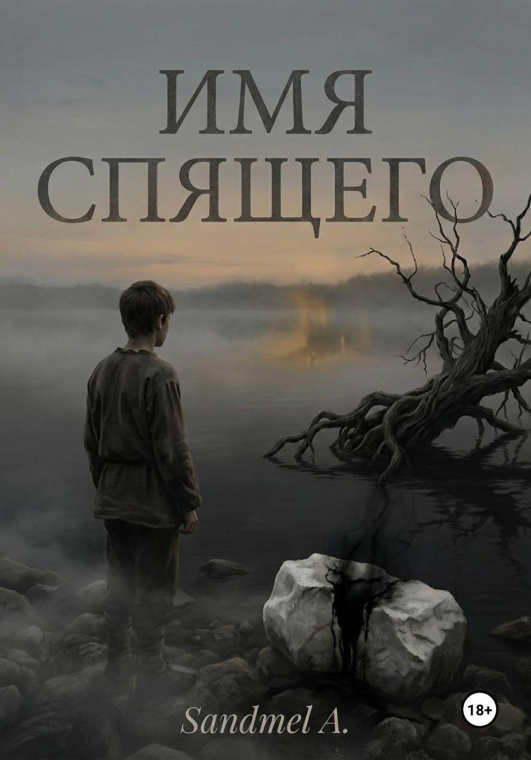 Обложка книги «Имя спящего»