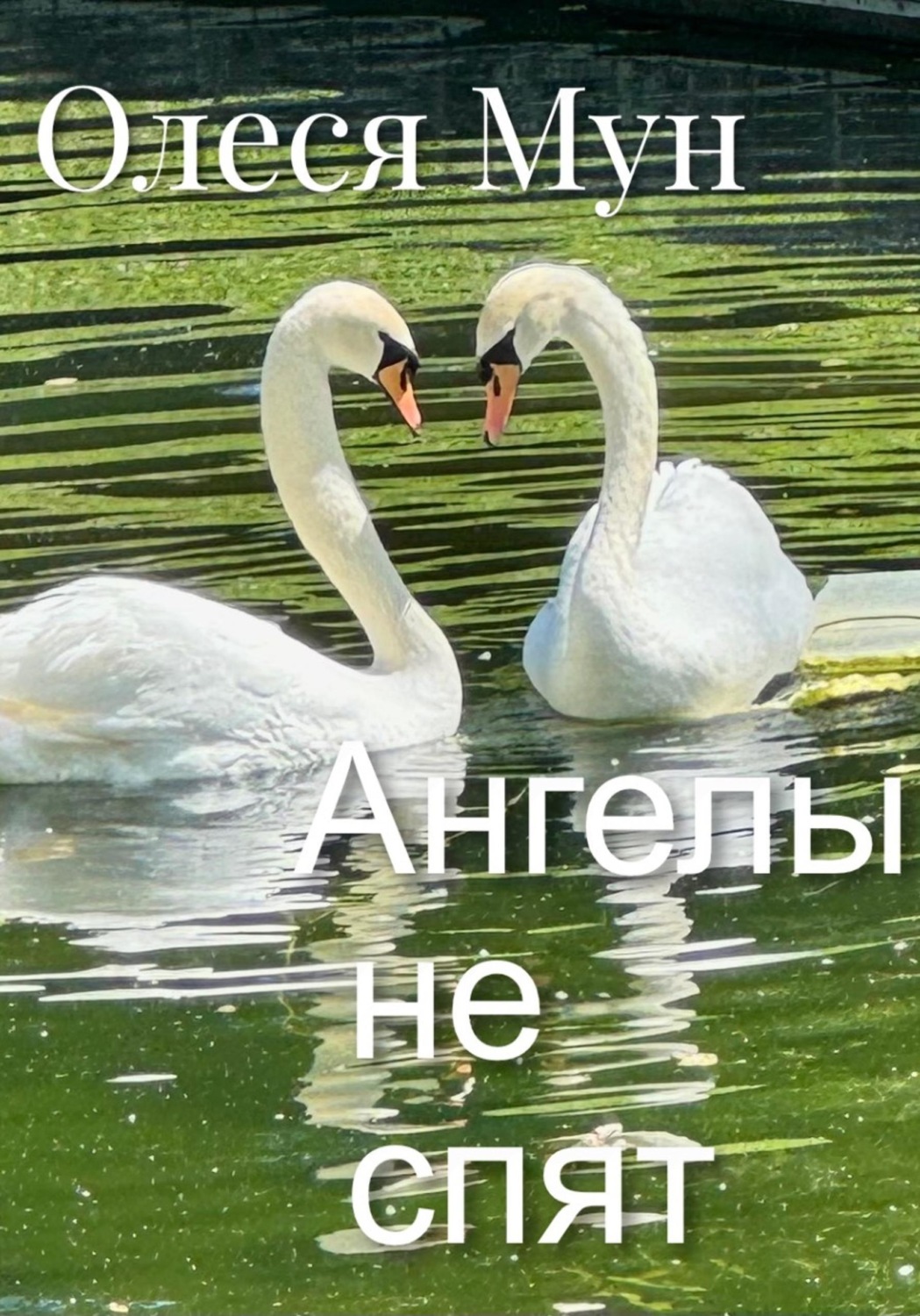 Обложка книги «Ангелы не спят»