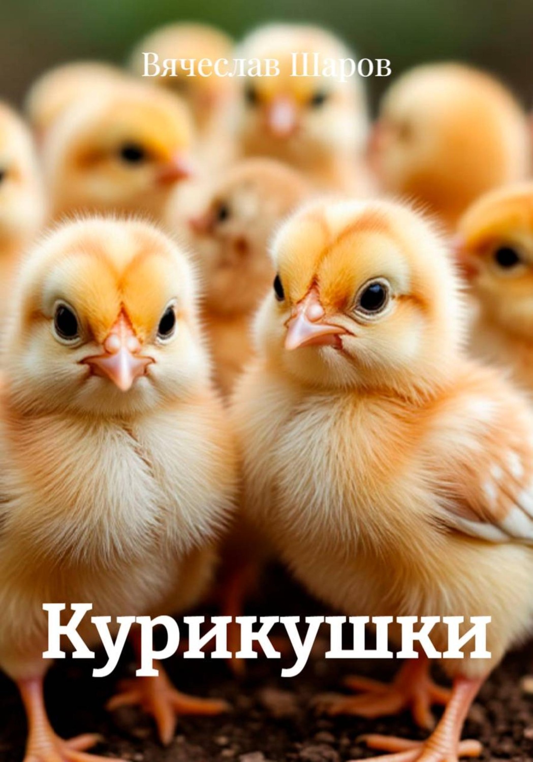 Обложка книги «Курикушки»