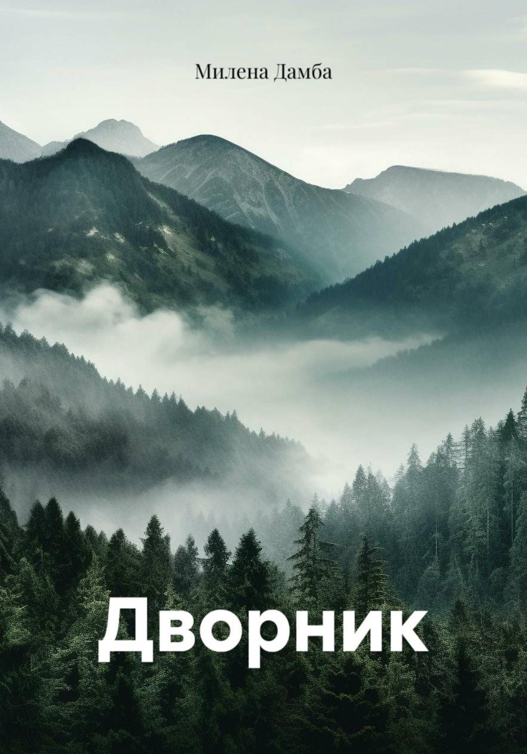 Обложка книги «Дворник»