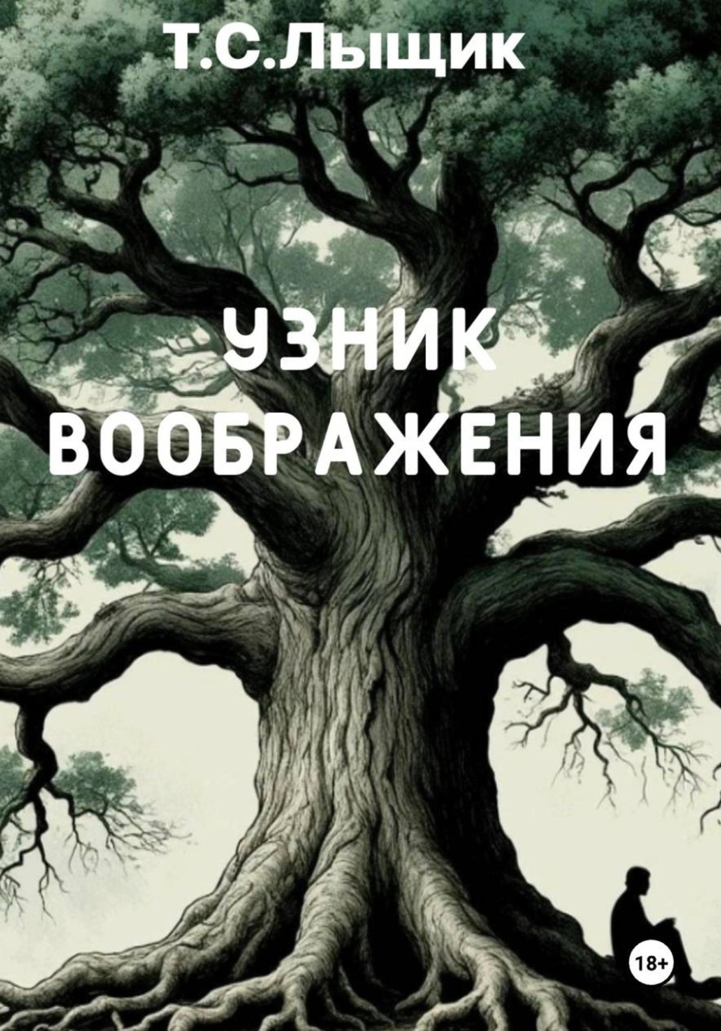 Обложка книги «Узник воображения»
