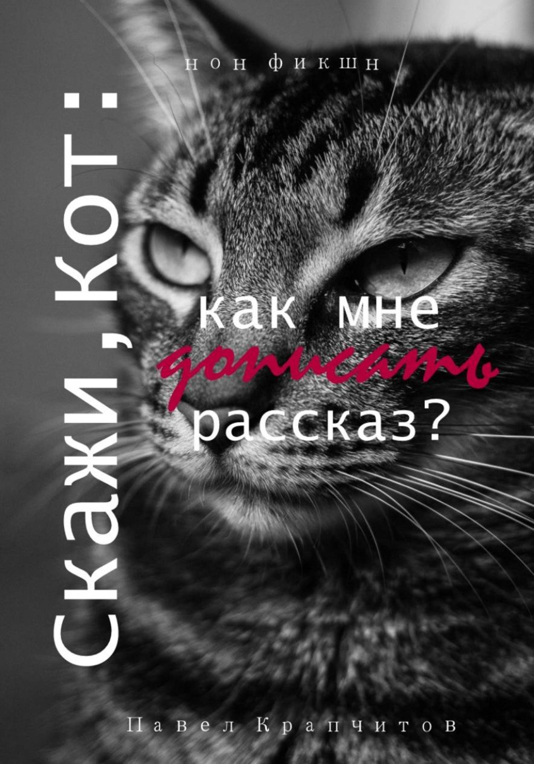 Обложка книги «Скажи, Кот: как мне дописать рассказ?»