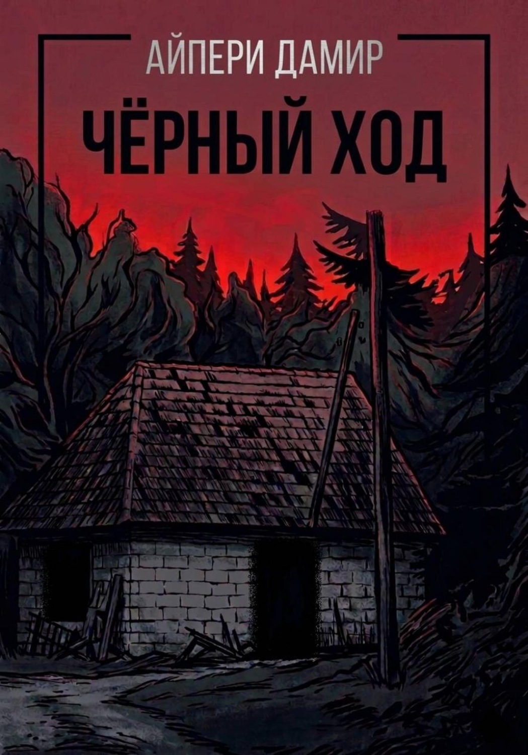 Обложка книги «Чёрный ход»