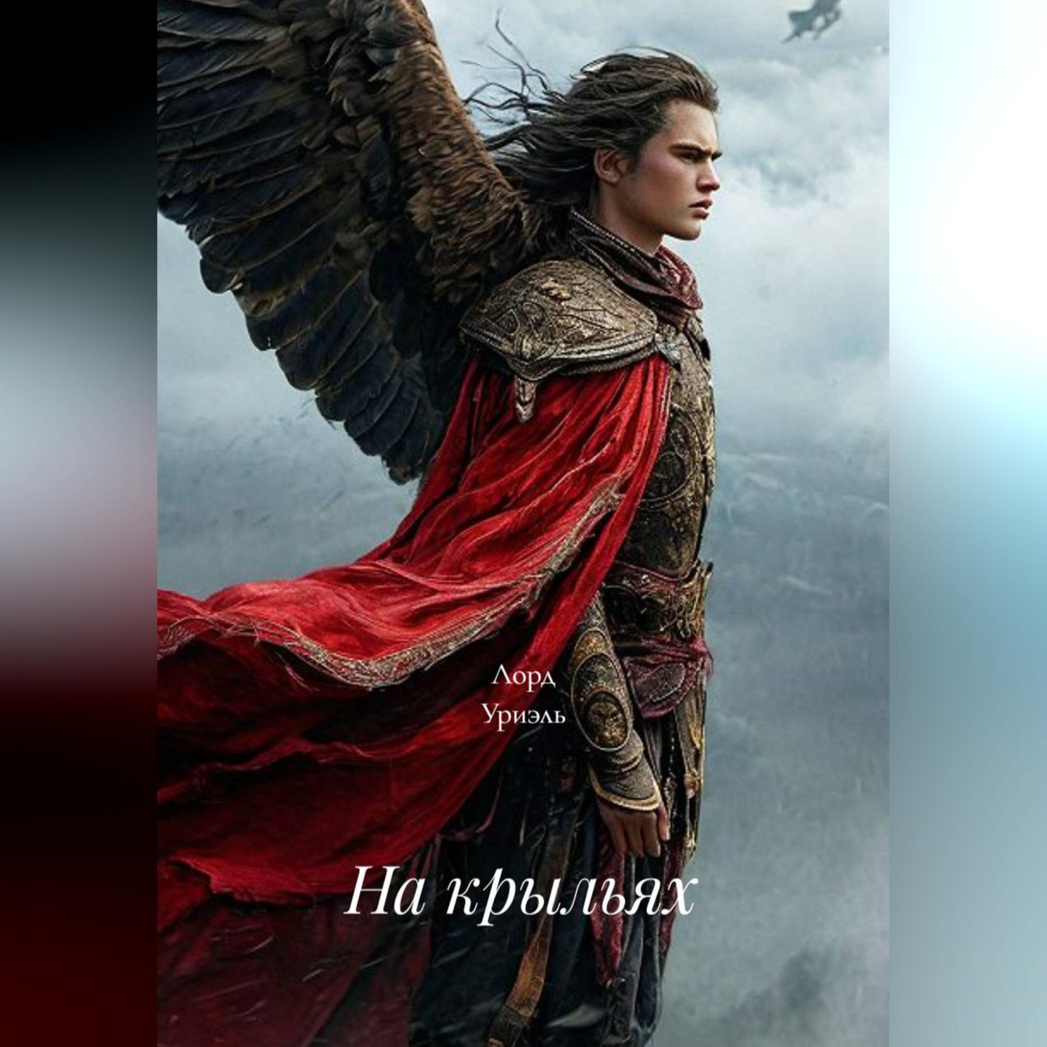 Обложка книги «На крыльях»