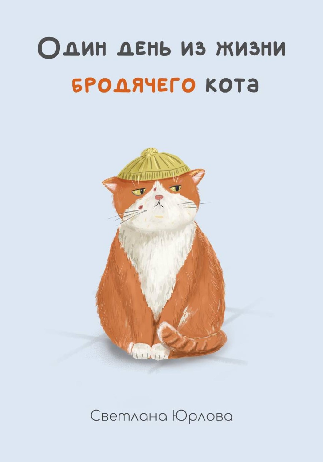 Обложка книги «Один день из жизни бродячего кота»