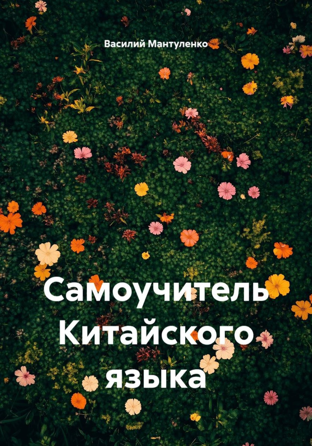 Обложка книги «Самоучитель китайского языка»