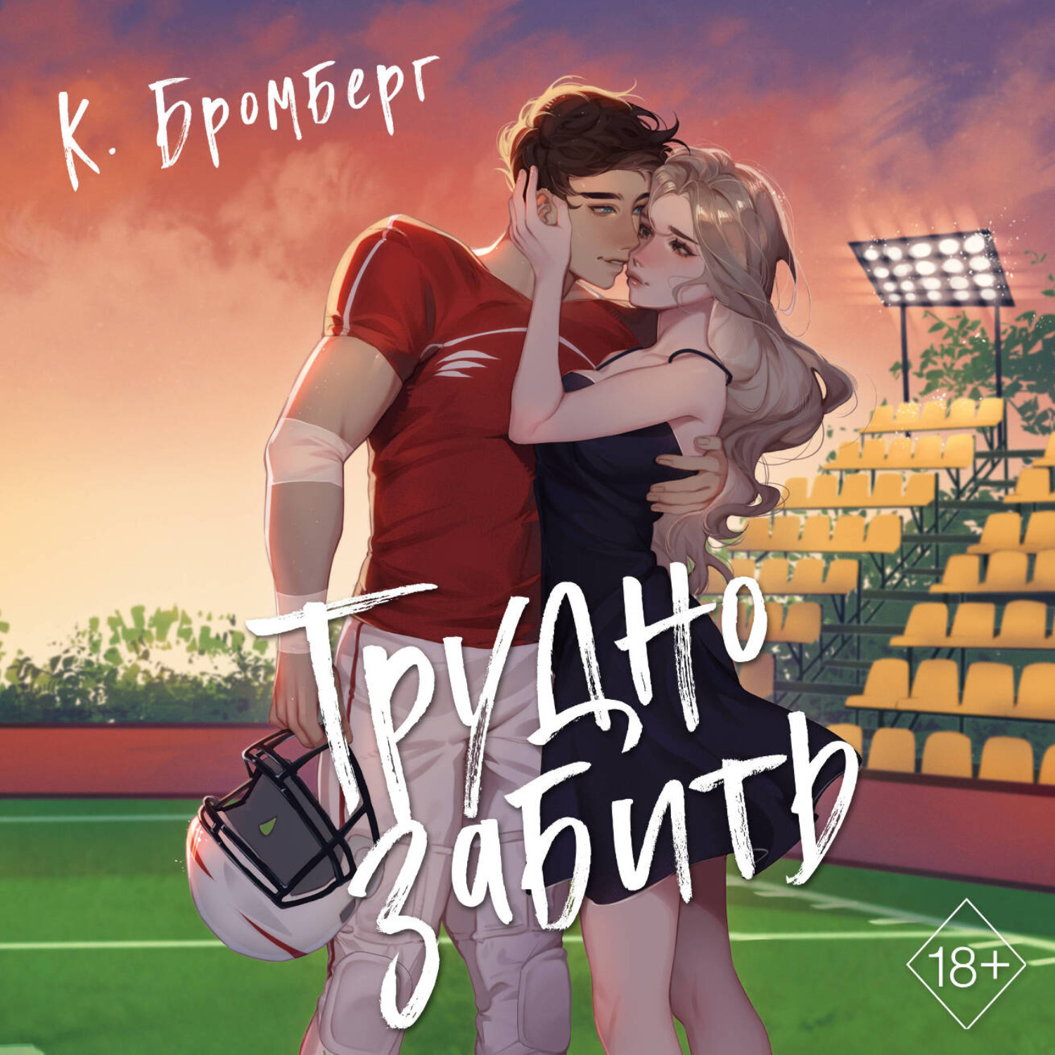 Обложка книги «Трудно забить»