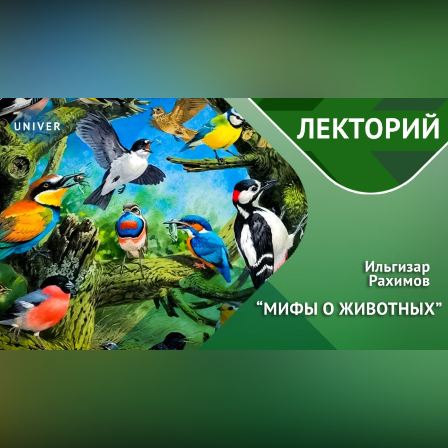 Обложка книги «ПТИЦЫ / вы точно этого не знали»