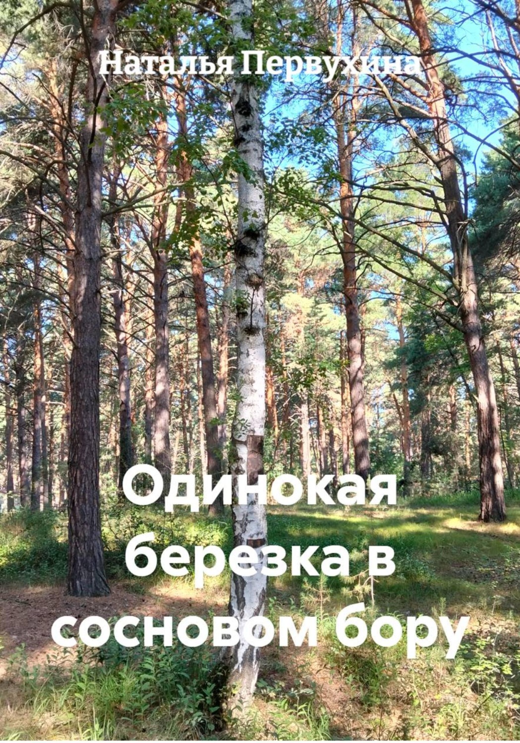 Обложка книги «Одинокая березка в сосновом бору»