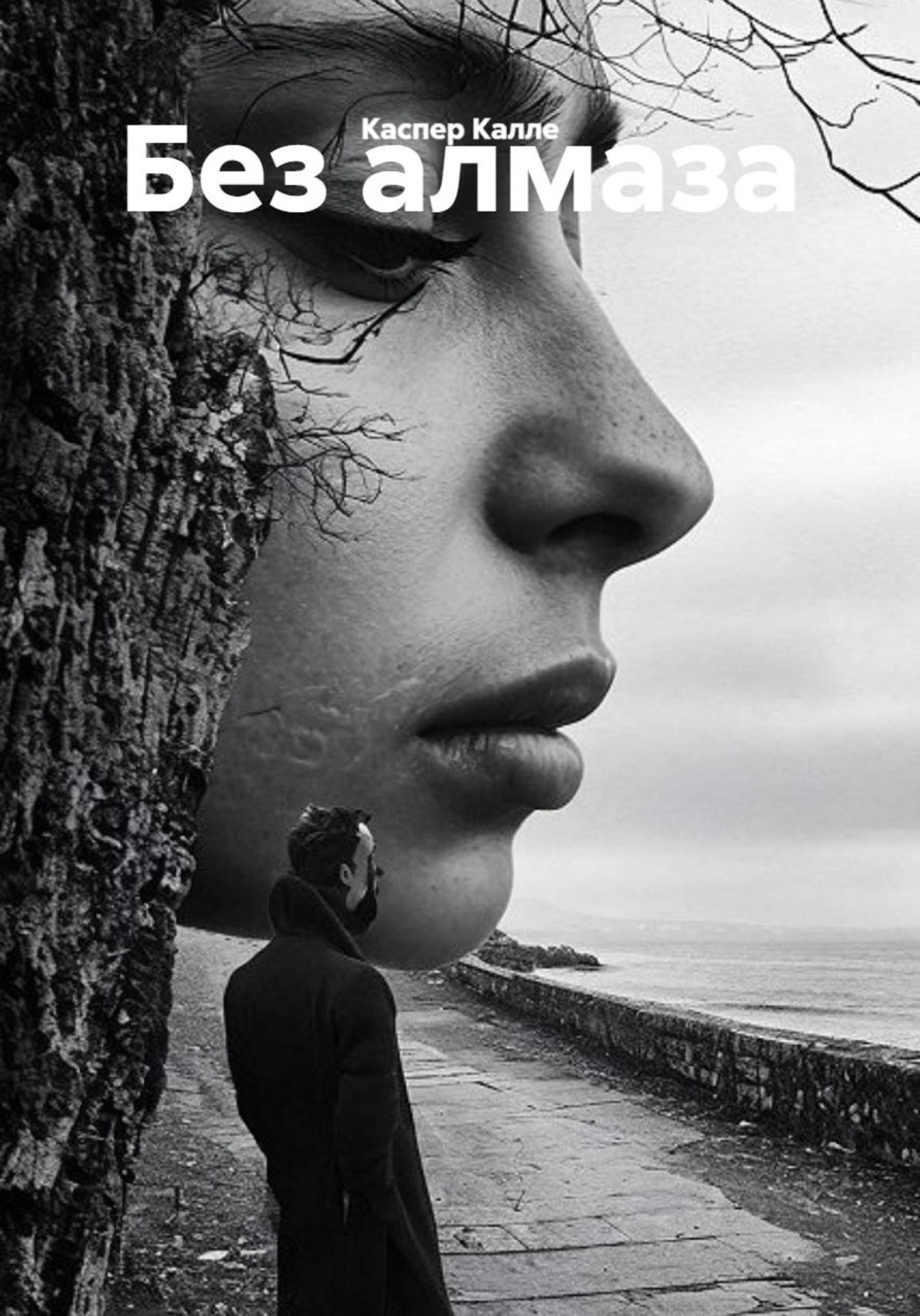 Обложка книги «Без алмаза»