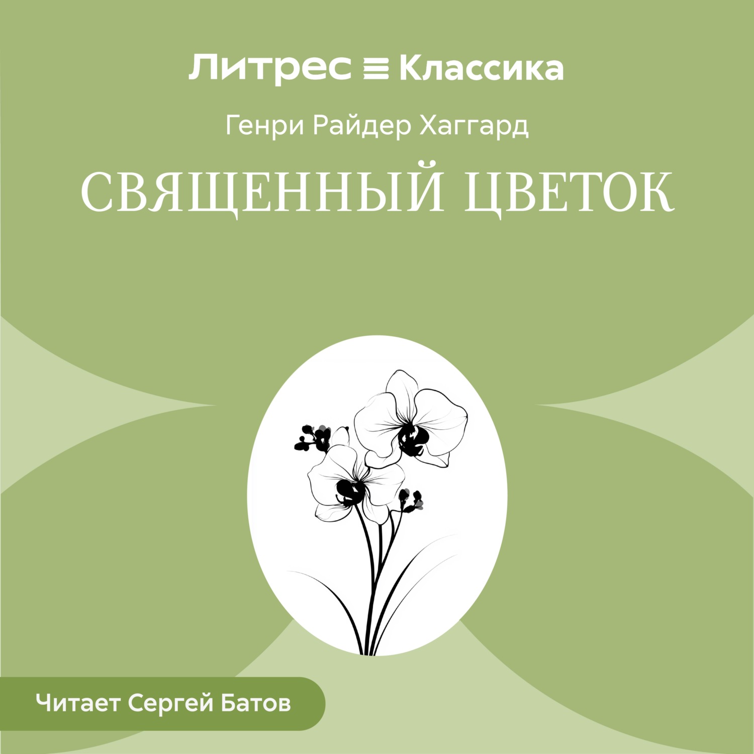 Обложка книги «Священный цветок»