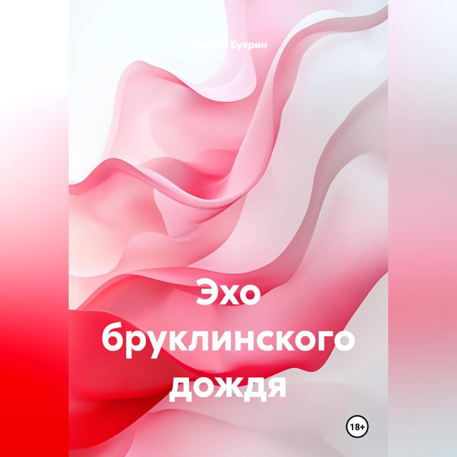 Обложка книги «Эхо бруклинского дождя»